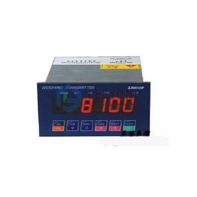 LY8100DP 重量变送器
